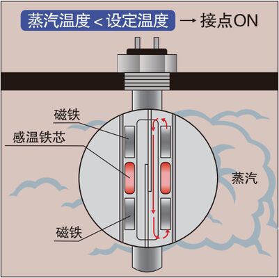 Durable Horizontal Oil / Gas Fired Package Steam Boiler Advanced